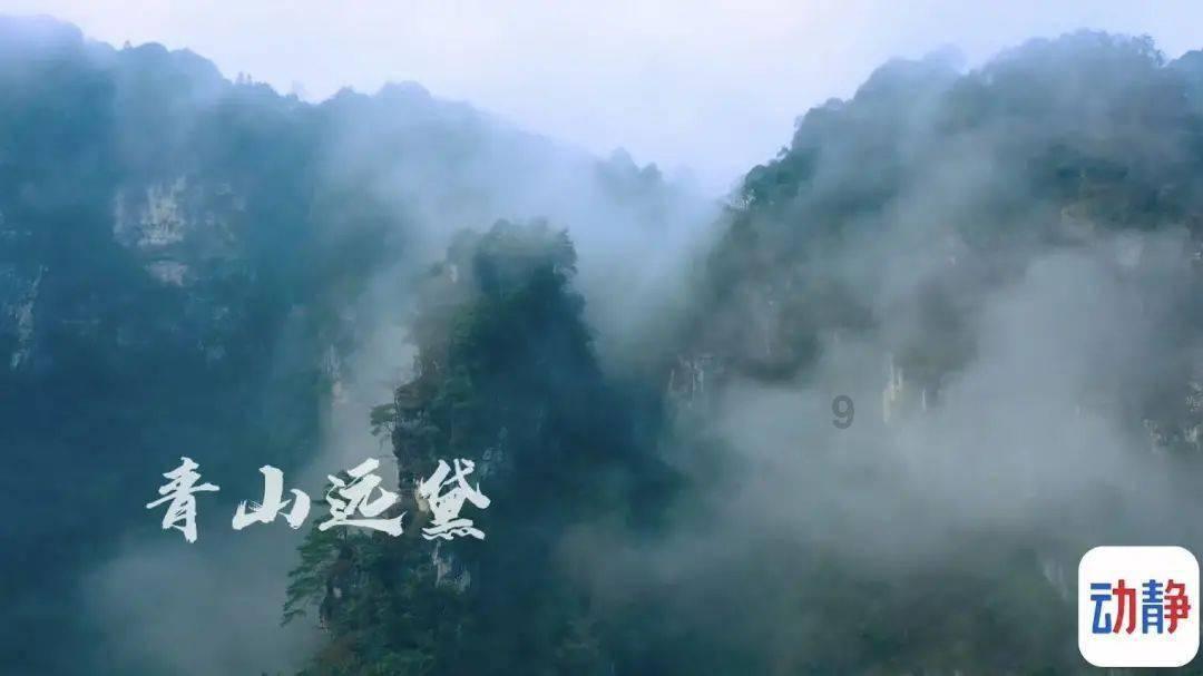 hahabet梦想
