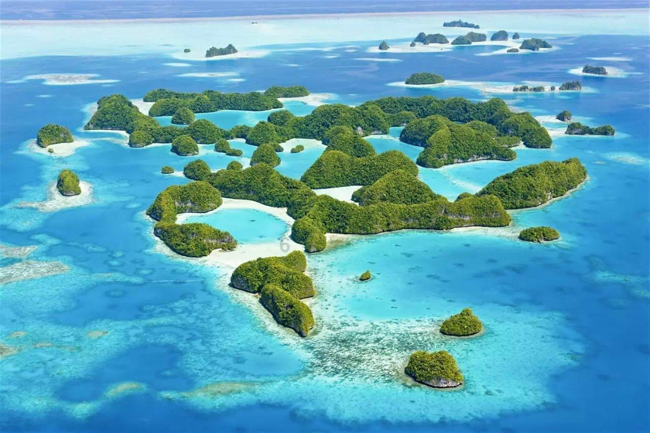 加入当人触电了用什么绝缘体施救,体验知识星球的魅力